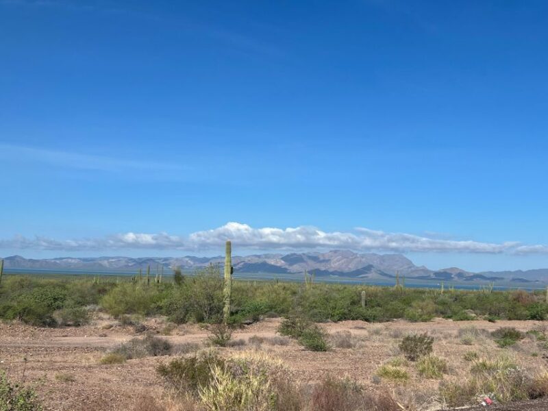 Shark Island: Tour of the Largest Island in Mexico - Booking and Cancellation Policy