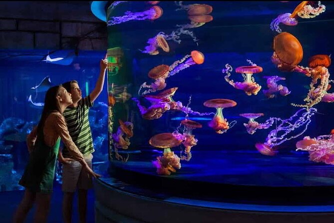 Shark Reef at Mandalay Bay Hotel and Casino - Shipwreck Exhibit Highlights