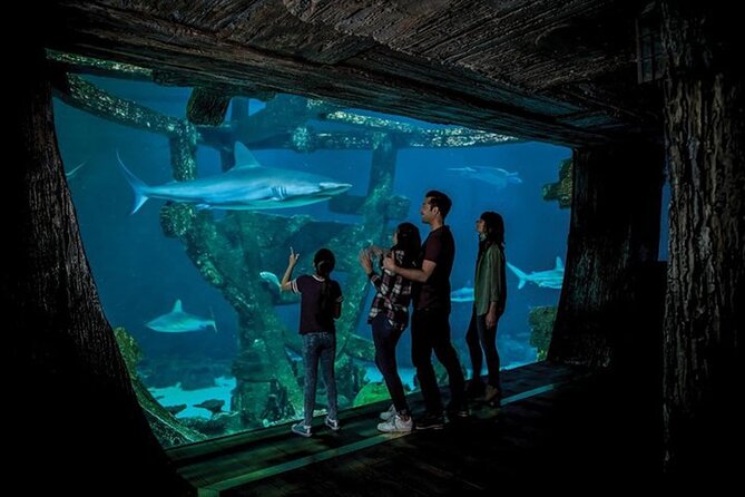 Shark Reef at Mandalay Bay Hotel and Casino - Location and Ticketing Information