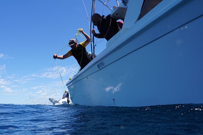 Shark Safari & Snorkel Adventure in Cabo San Lucas - Personalized Small-Group Adventure