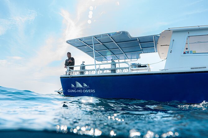 Shark Snorkeling Experience in South Florida - Experience Details: Duration and Schedule