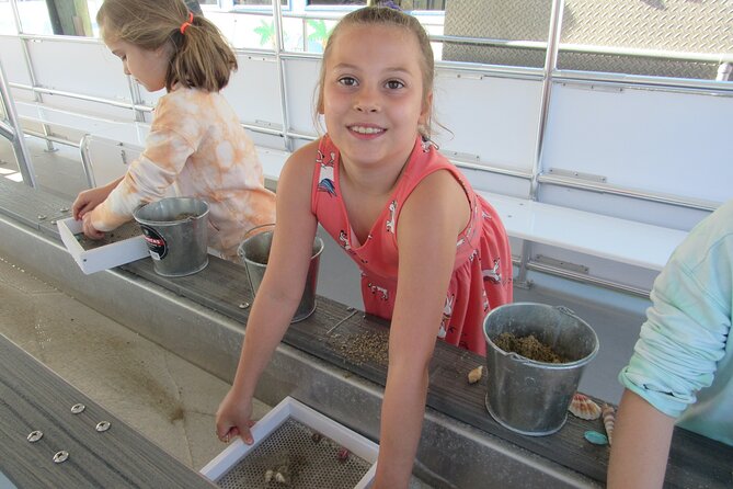 Shark Teeth and Shells, Dolphin and Shelling Tour Boat Clearwater Beach - Treasure Hunting: Seashells and Shark Teeth