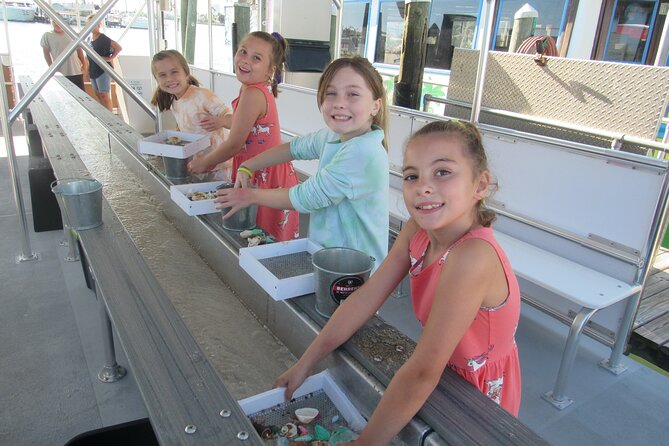 Shark Teeth and Shells, Dolphin and Shelling Tour Boat Clearwater Beach - Uniquely Designed Shelling Boat Experience
