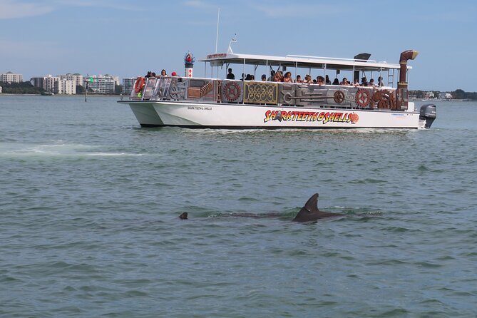 Shark Teeth and Shells, Dolphin and Shelling Tour Boat Clearwater Beach - Family-Friendly Fun on the Water