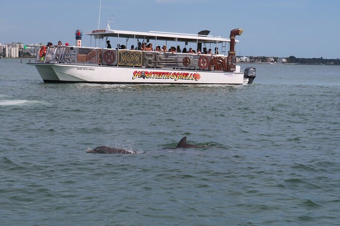 Shark Teeth and Shells, Dolphin and Shelling Tour Boat Clearwater Beach - Accessibility and Group Capacity Details