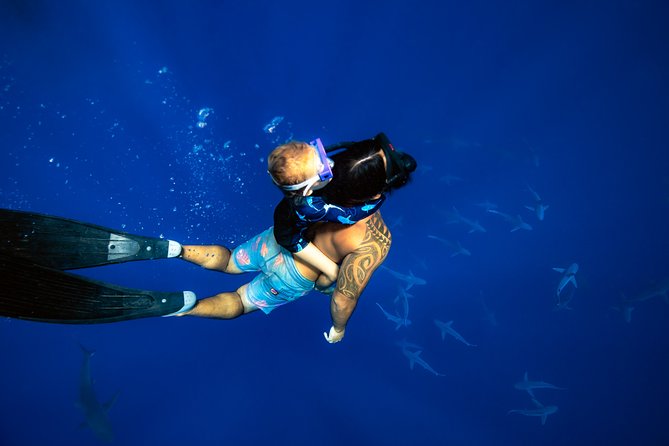 Shark Tour Dive With Sharks in Hawaii With One Ocean Diving - Memorable Encounters