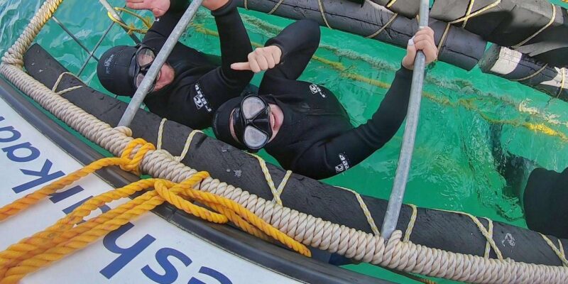 Shark & Whale Trip Combo - Whale Watching Adventure