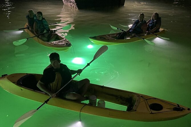Sharkeys Glass Bottom Fish Feeding LED Night Tour in Clearwater - Experience Highlights