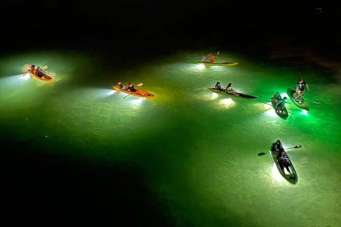 Sharkeys Glass Bottom Fish Feeding LED Night Tour in Clearwater - Positive Reviews