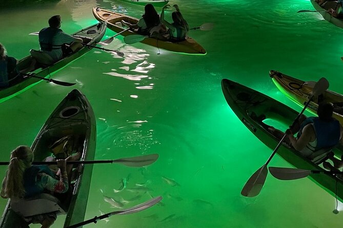 Sharkeys Glass Bottom Fish Feeding LED Night Tour in Clearwater - Negative Criticisms