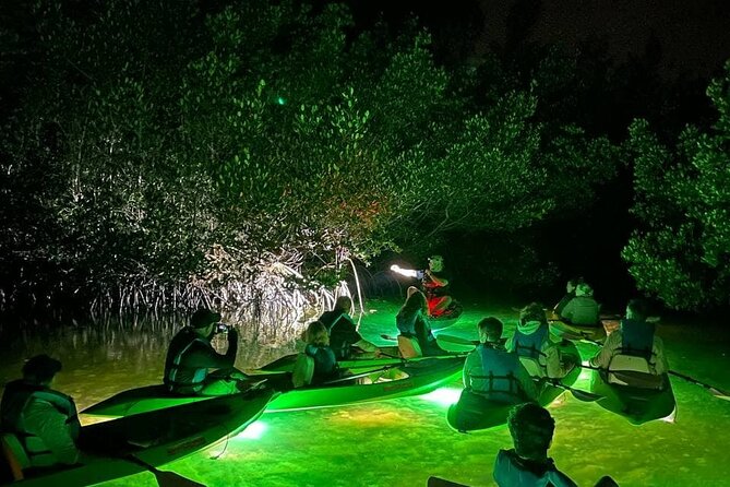 Sharkeys Glass Bottom Fish Feeding LED Night Tour in Sarasota - Key Points