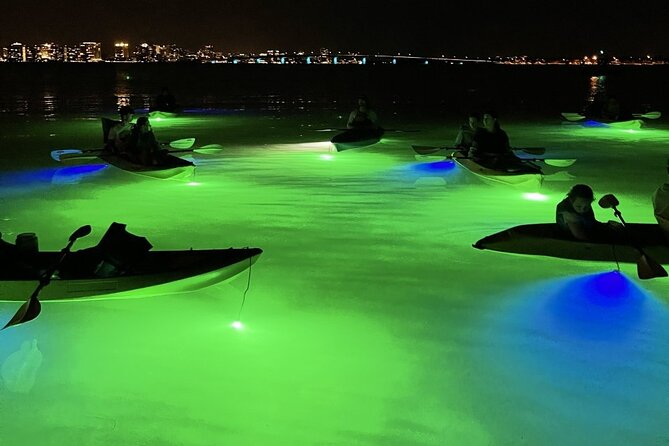 Sharkeys Glass Bottom Fish Feeding LED Night Tour in Sarasota - Unique Tour Features