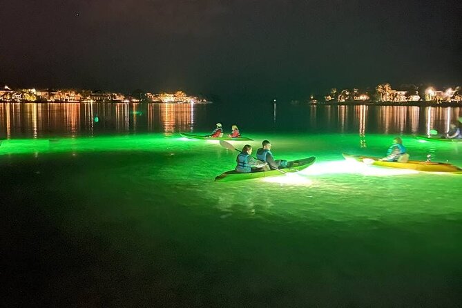 Sharkeys Glass Bottom Fish Feeding LED Night Tour in Sarasota - Sighting Marine Life