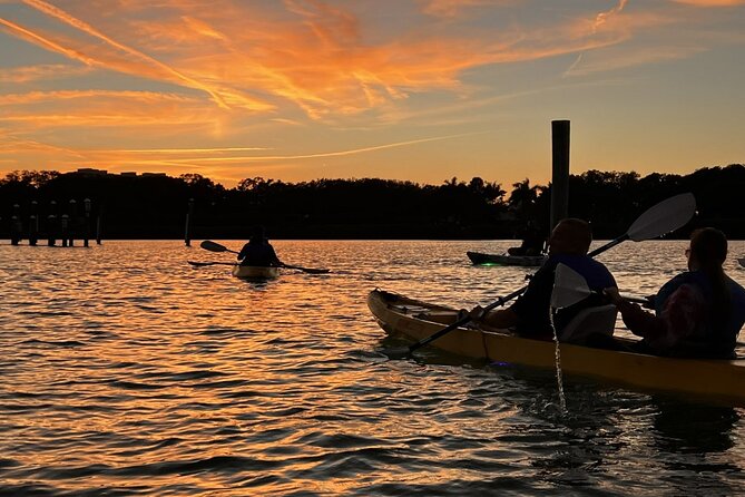 Sharkeys Glass Bottom Fish Feeding LED Night Tour in Sarasota - Encountering the Ringling Causeway