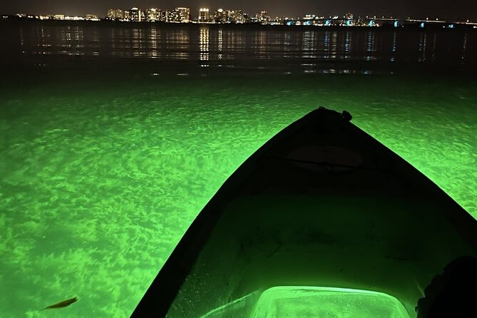 Sharkeys Glass Bottom Fish Feeding LED Night Tour in Sarasota - Whats Included in the Tour