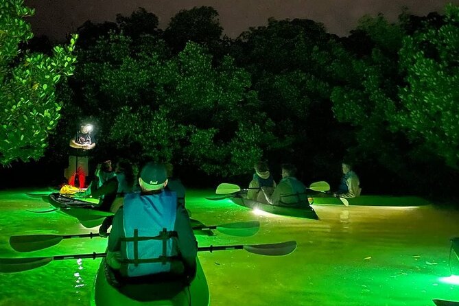 Sharkeys Glass Bottom Fish Feeding LED Night Tour in Sarasota - Additional Tour Details