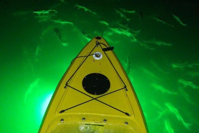 Sharkeys Glass Bottom Fish Feeding LED Night Tour St. Pete Beach - Additional Tour Information