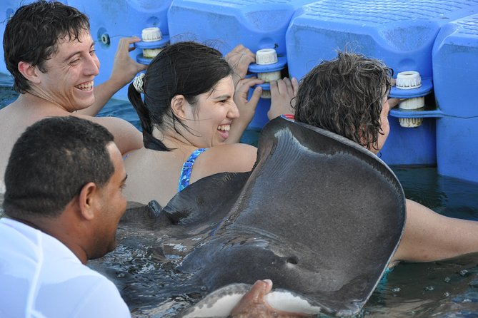 Sharks & Stingrays Encounter and Small Boat Ride From Punta Cana - Safety Considerations