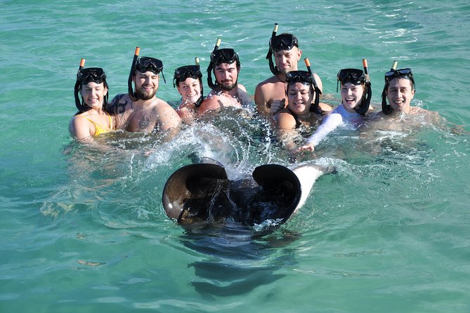 Sharks & Stingrays Encounter and Small Boat Ride From Punta Cana - Activity Details