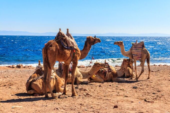Sharm: 2-Days Dahab, Canyon, Safari, Snorkel W Camp Stay - What to Bring