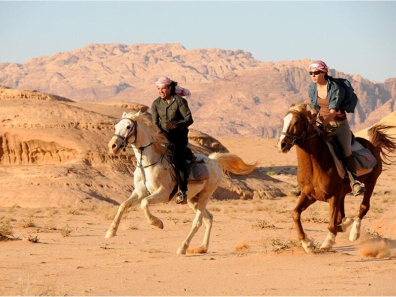 Sharm: Arabian Adventure Horse Ride & Camel Ride W Breakfast - Pricing and Reservations