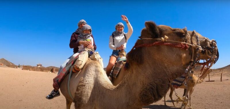 Sharm: Arabian Adventure Horse Ride & Camel Ride W Breakfast - Horse Riding Adventure