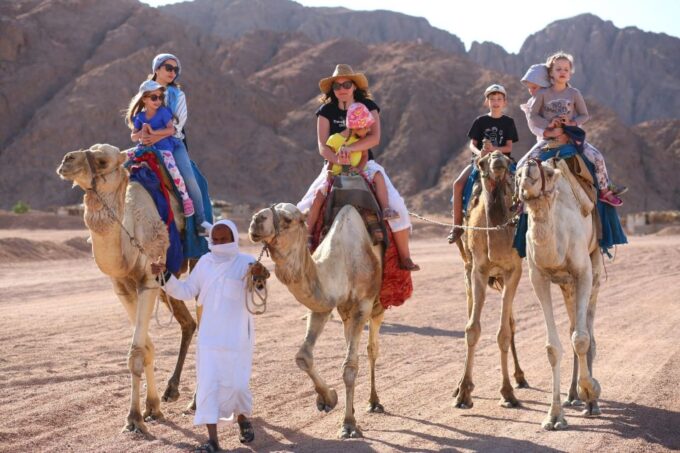 Sharm: Arabian Adventure Horse Ride & Camel Ride W Breakfast - Bedouin Lifestyle Insights