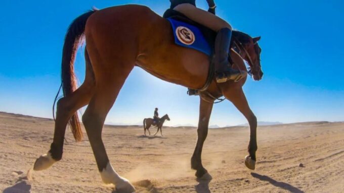 Sharm: Arabian Adventure Horse Ride & Camel Ride W Breakfast - Frequently Asked Questions