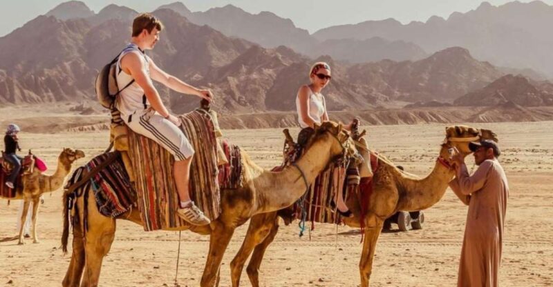 Sharm: Atv, Camel Ride, BBQ Dinner & Show W Private Transfer - Key Points