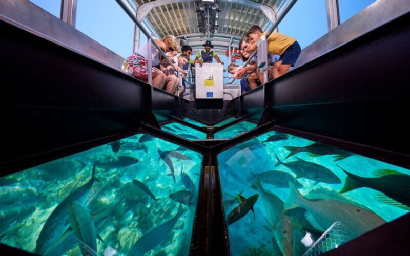 Sharm El-Sheik: Coral Reef Glass-Bottom Boat Tour - Booking Information