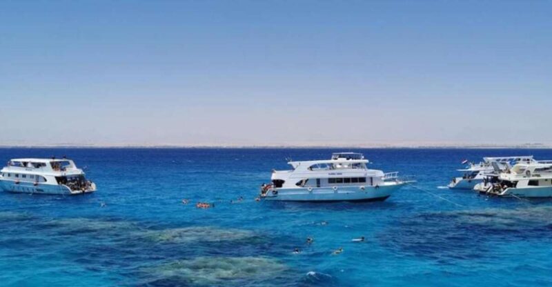 Sharm El-Sheik: Coral Reef Glass-Bottom Boat Tour - Experience Highlights