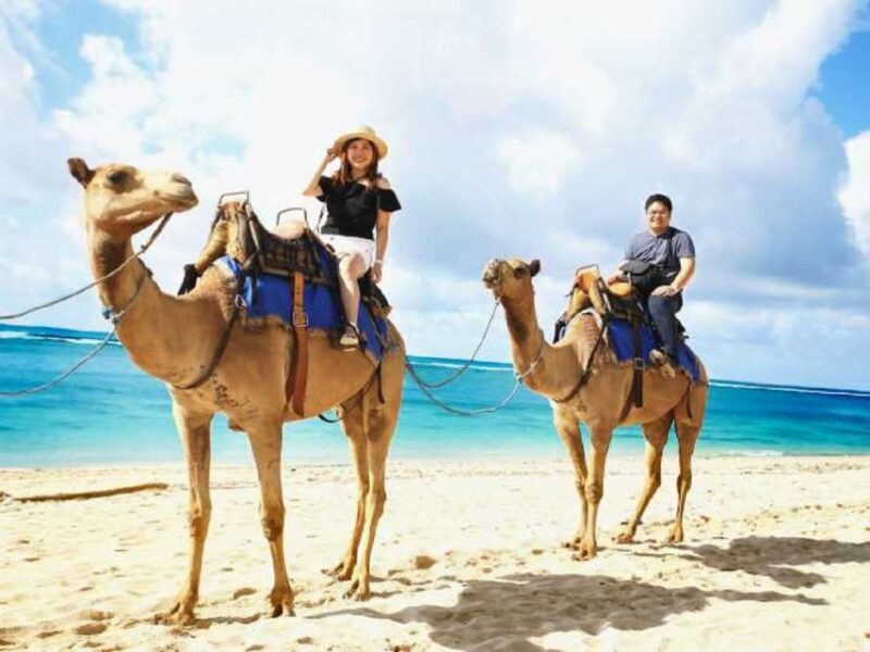 Sharm El-Sheik: Dahab, Red Canyon, and Abu Galum Day Tour - Itinerary Highlights