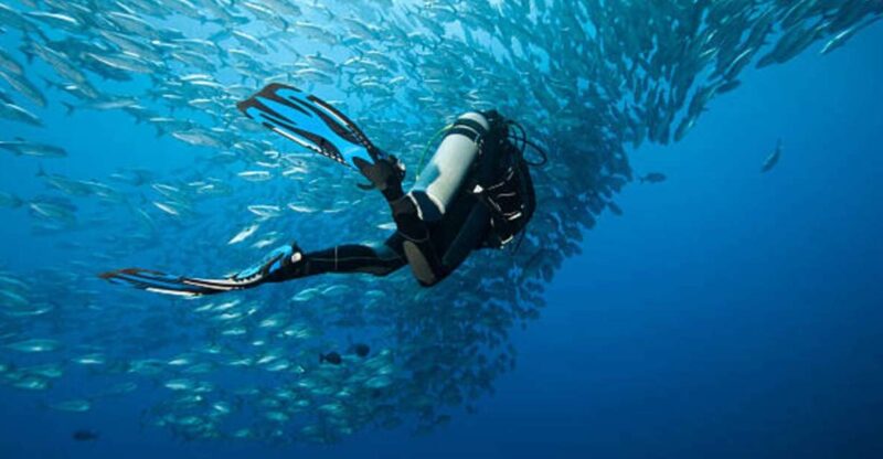 Sharm El Sheikh: 4-Day PADI Open Water Diver Course - Course Structure