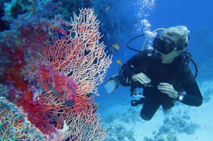 Sharm El Sheikh: 4-Day PADI Open Water Diver Course - Group Size and Instructors