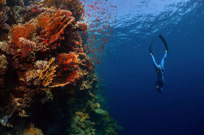 Sharm El Sheikh: 4-Day PADI Open Water Diver Course - Frequently Asked Questions