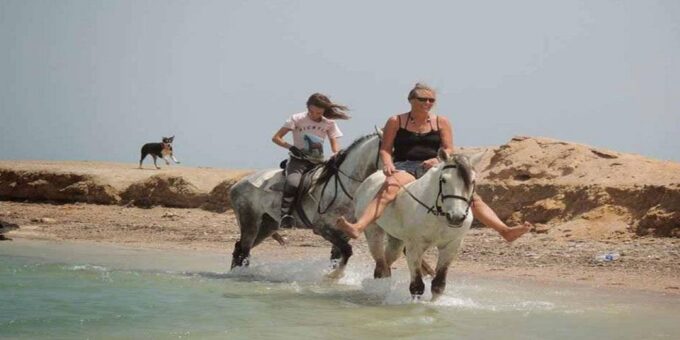 Sharm El-Sheikh: 7-Day Egypt Tour W/ Balloon Ride & Flights - Inclusions
