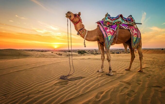 Sharm El Sheikh: Atv, Camel Ride With BBQ Dinner and Show - Frequently Asked Questions