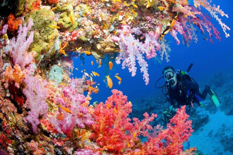 Sharm El Sheikh: ATV Desert Trip With Paragliding and Lunch - Desert Adventure