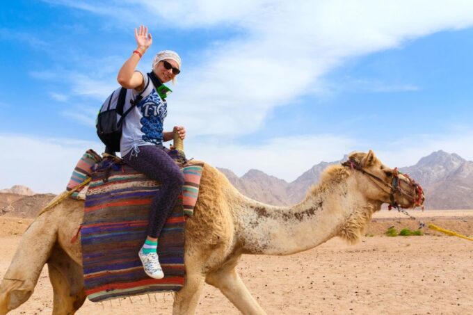 Sharm El Sheikh: ATV Quad Bike and Buggy Adventure - Dune Bashing and Riding