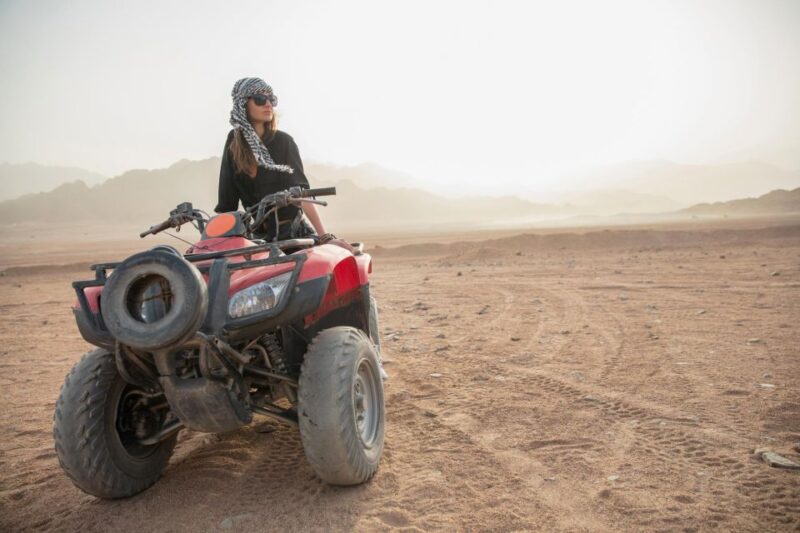 Sharm El Sheikh: ATV Quad Bike Ride & Camel Ride at Sunrise - Pricing and Availability