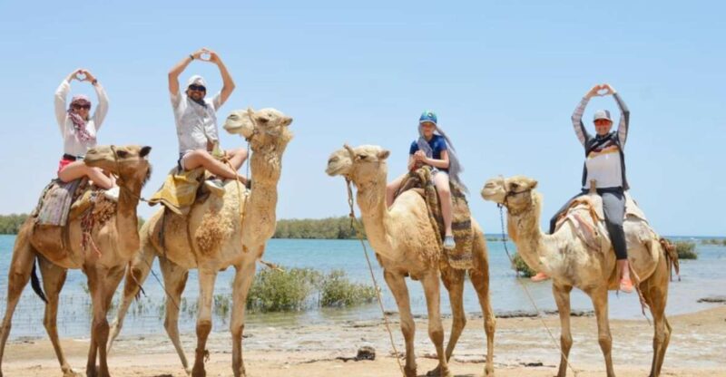 Sharm El Sheikh: ATV Quad Bikes Along the Sea & Mountains - Pickup and Transportation