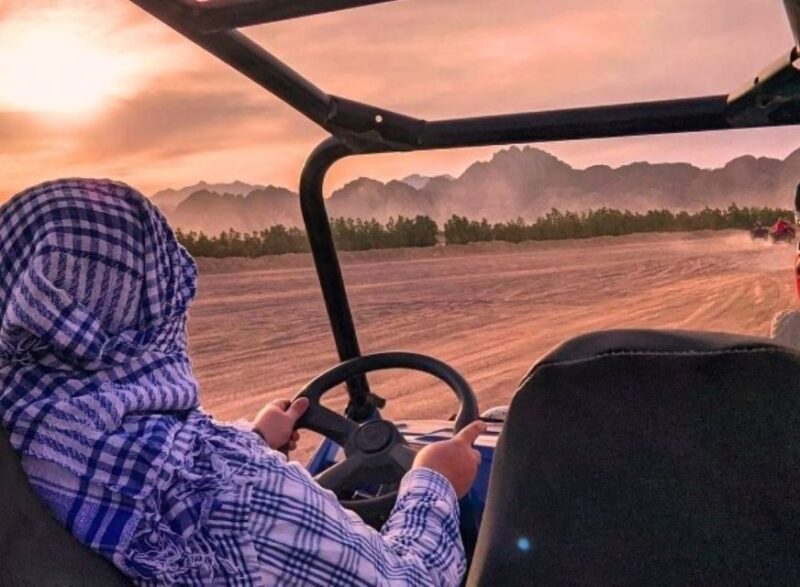 Sharm El-Sheikh: Bedouin Tent and Buggy Desert Day Tour - Important Information