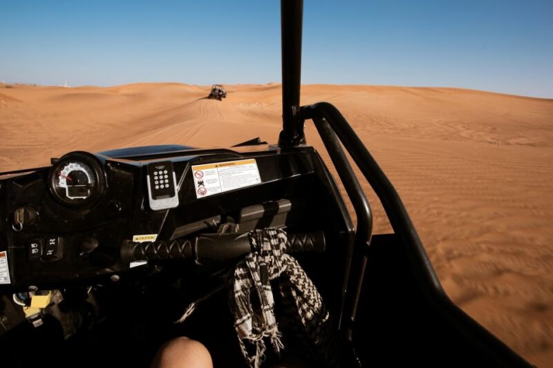 Sharm El-Sheikh: Bedouin Tent and Buggy Desert Day Tour - Key Points