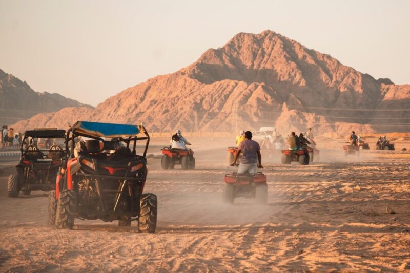 Sharm El-Sheikh: Bedouin Tent and Buggy Desert Day Tour - Inclusions