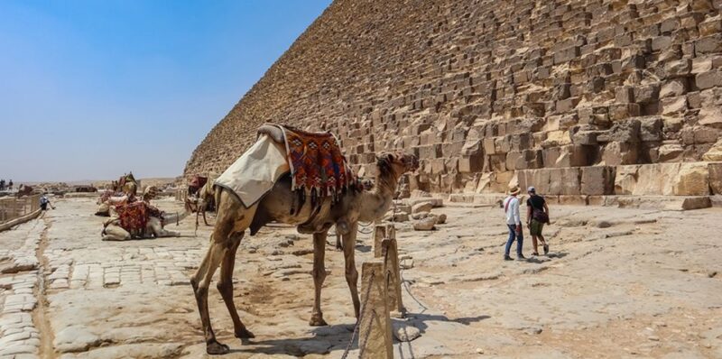 Sharm El Sheikh: Cairo Day Tour by Bus With Guide & Lunch - Inclusions and Important Information