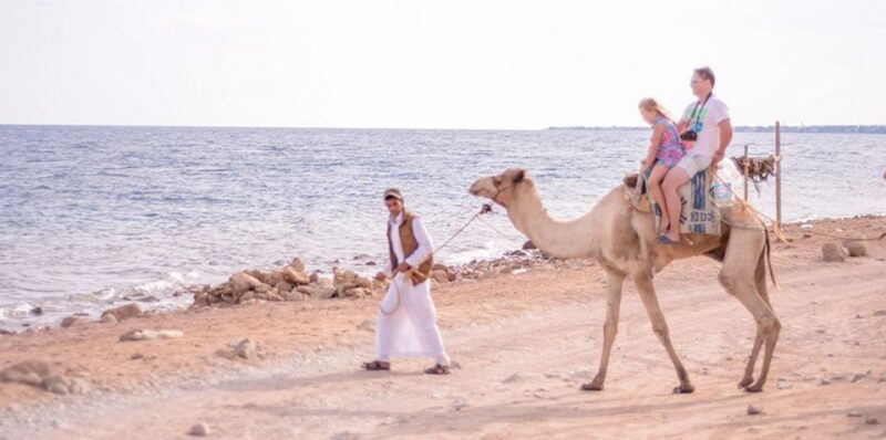 Sharm El Sheikh Camel Riding Safari Tour - Booking Information