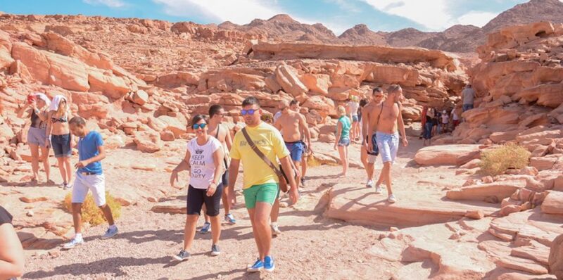 Sharm El Sheikh Camel Riding Safari Tour - Customer Reviews