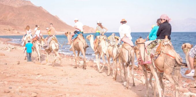 Sharm El Sheikh Camel Riding Safari Tour - Safety Considerations
