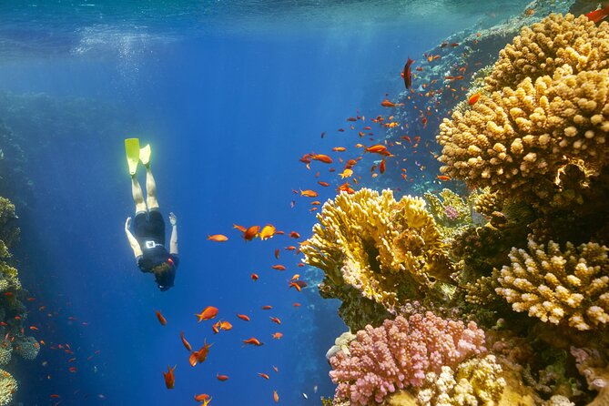 Sharm El Sheikh: Colored Canyon, Blue Hole & Dahab City Tour - Pickup and Meeting Points
