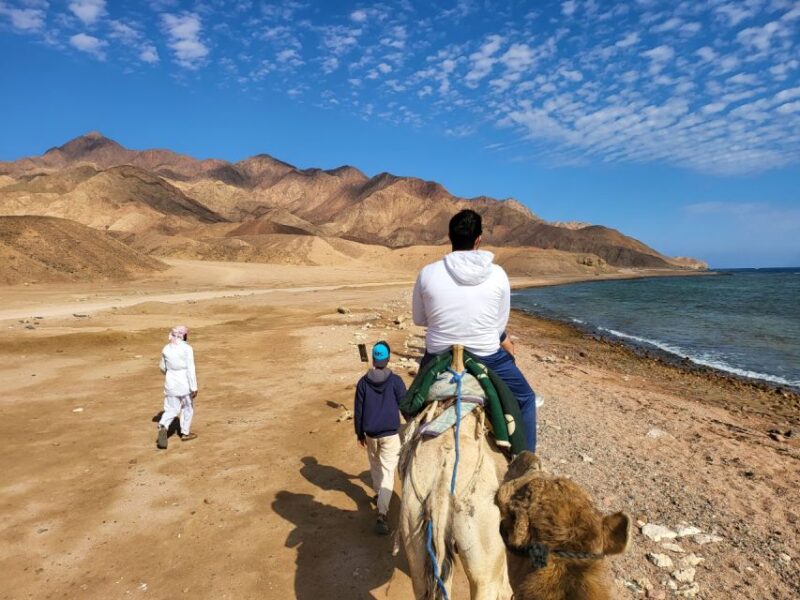 Sharm El Sheikh: Colored Canyon, Blue Hole & Dahab Day Trip - Key Points